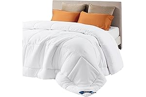 Bedsure Queen Size Comforter Blanket