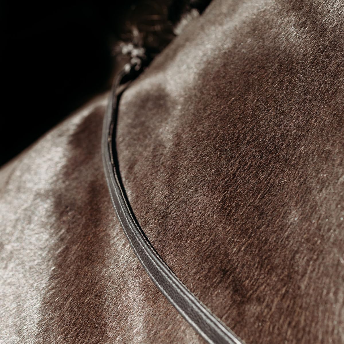 Riendas de carreraFaySport Con Clips Negro - Pony-shop - Tamaño: Caballo