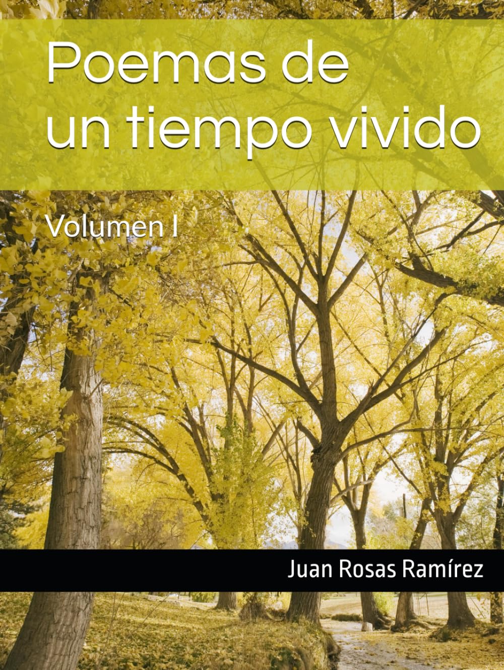 Poemas de un tiempo vivido: Volumen I