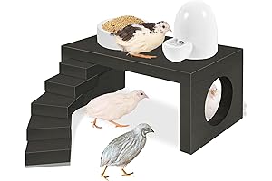 Chicken Perch and Ramp Trainer for Baby Chicks