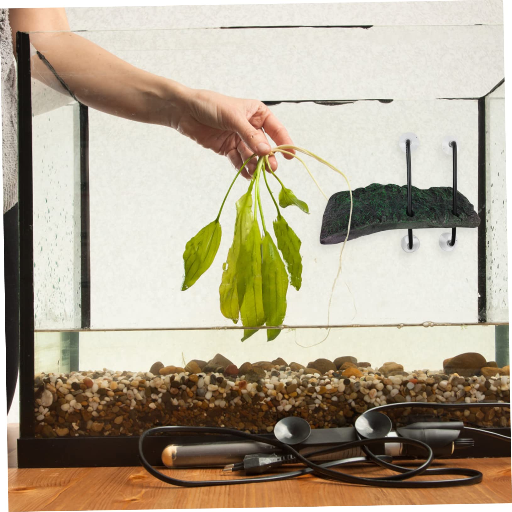 Yardwe 3 Pz Piattaforma di Sollevamento per Tartarughe Piattaforma Decorazioni per acquari petg terrario Tartarughe Accessori Tartarughe d'Acqua Arredamento dell'acquario