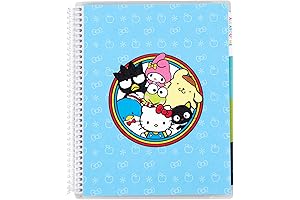 Limited Edition Sanrio 2023-2024 Activity Planner