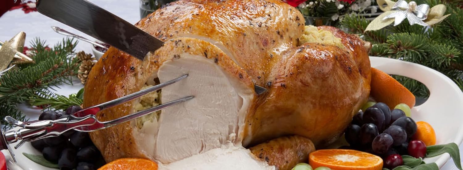 BUTTERBALL STAINLESS STEEL14LB INDOOR ELECTRIC TURKEY FRYER - also Fry & steam and boil all your favorite foods, butterball professional series by MASTERBUILT - USE YEAR ROUND - 1650 WATTS