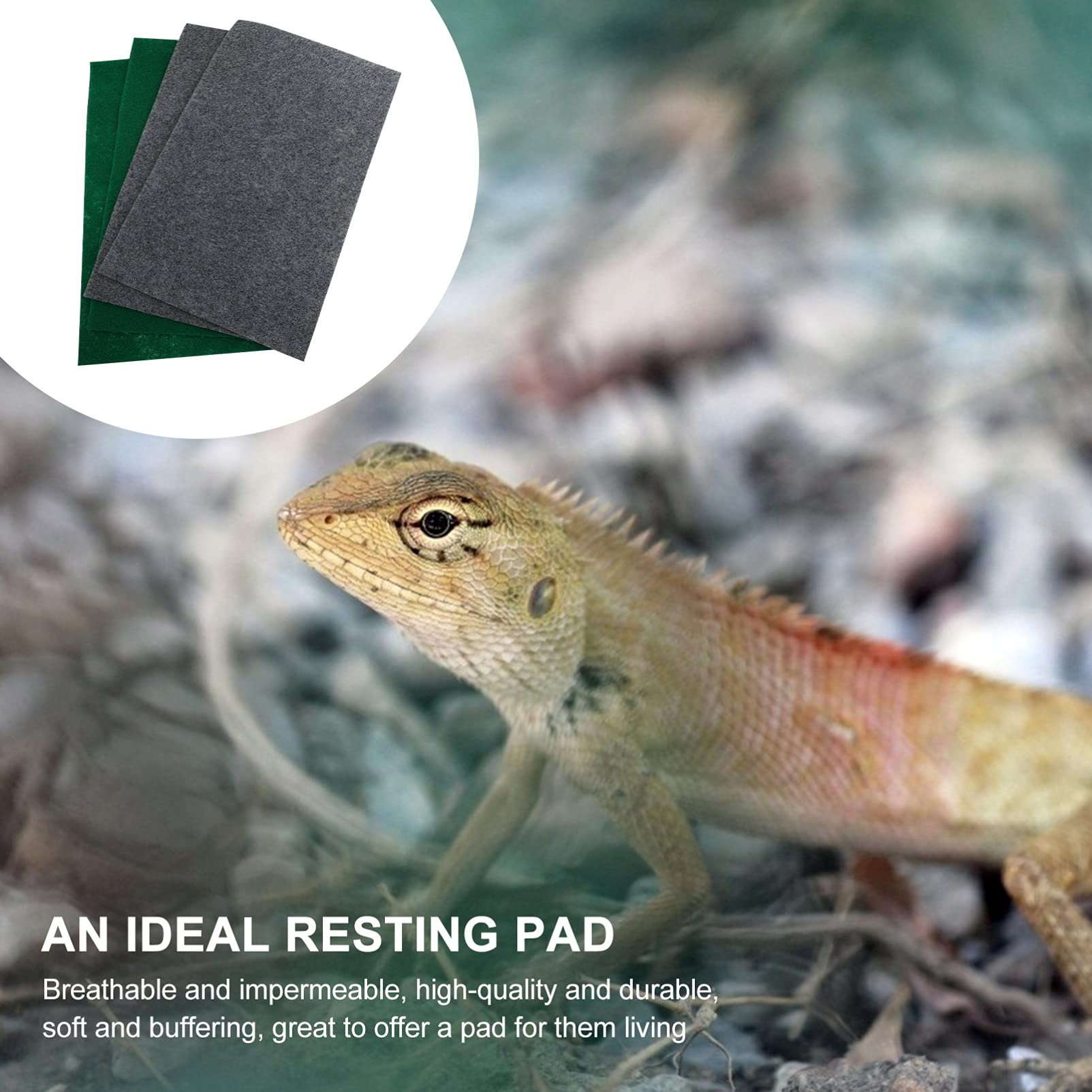 Reptile Habitat Background; Rain Forest Ferns & Roots, for Bio Deep Hybrid 24Lx24Wx48H Terrarium, 3-Sided Wraparound