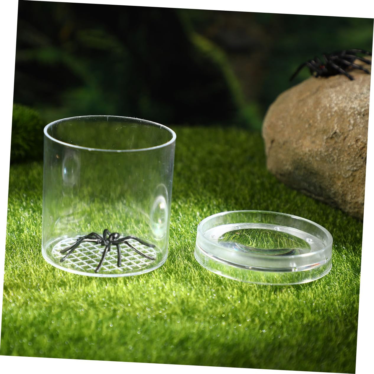 Caja de Observación de Insectos Aumento Triple, Plástico | 9 Piezas, Tapa Flujo de Aire, Alta Transparencia, Segura para Niños y Niñas