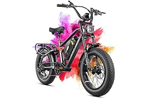 Terra/Terra Peak 1500W/2000W Electric Bike: Pedal Assist Power