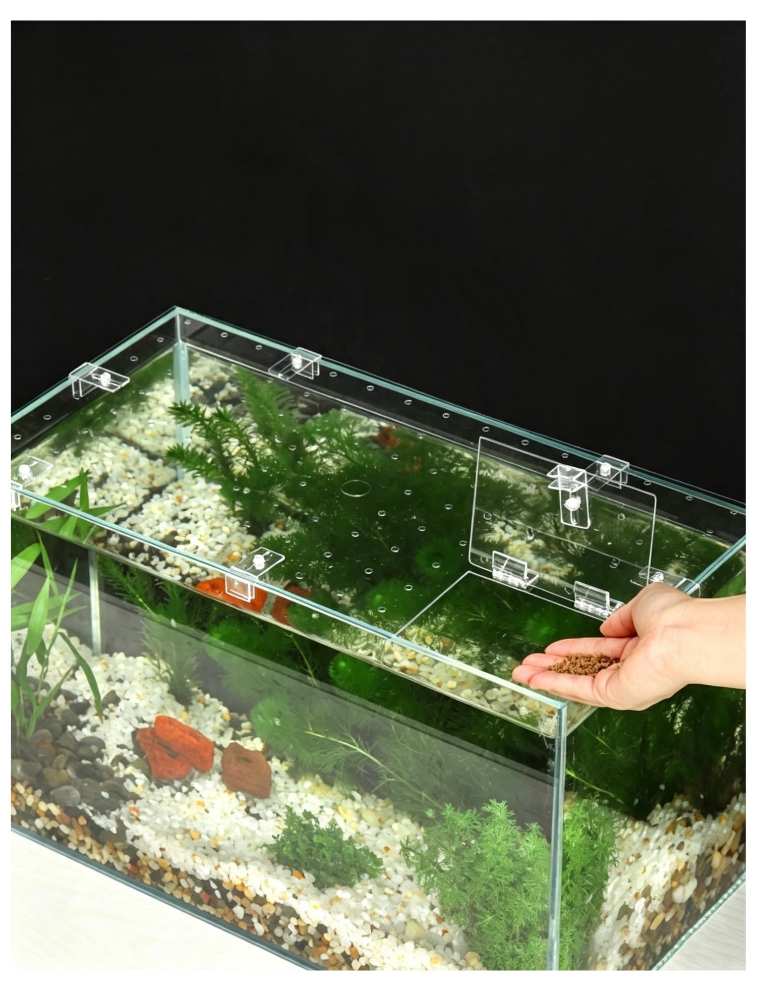 Tapa de Acuario Acrílica Transparente Personalizable, Antisalto