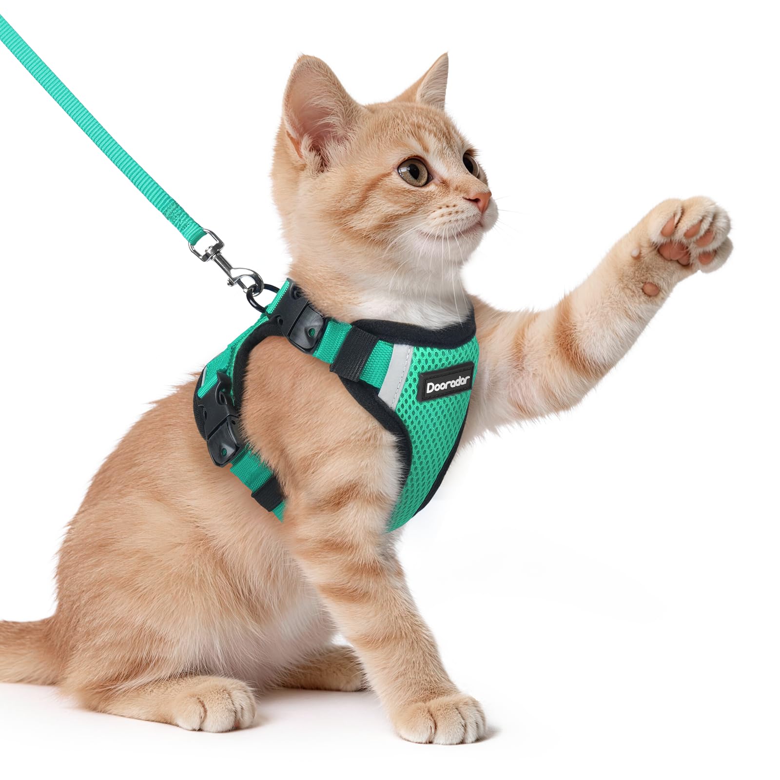 Dooradar Cat Harness and Lead Set, Escape Proof Kitten Harness, Cyan Green