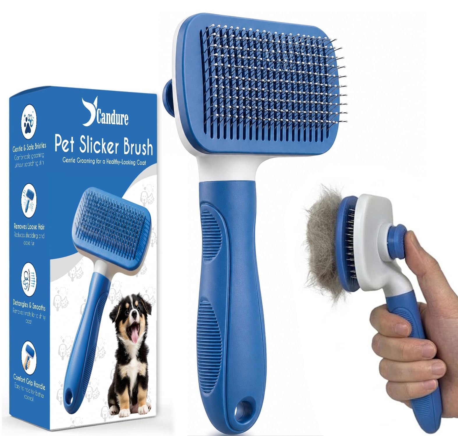 Candure Spazzola Autopulente per Cani e Gatti, Spazzola Professionale per Pelo Lungo e Corto, Setole in Acciaio Inox, Rimuove Nodi, Sottopelo e Pelo Morto, Accessori Toelettatura (Azzurro Cielo)