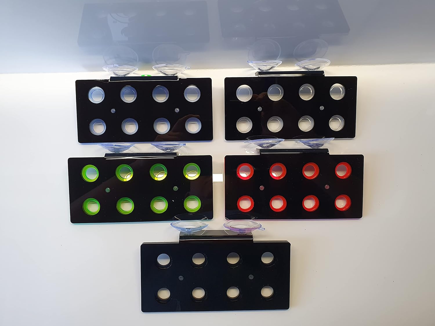 Reef Geeks Premium 8-Hole Acrylic Frag Rack - Dual Colour Coral Frag Holder with 38mm Suction Cups, Black-light Blue