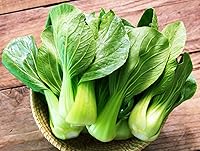 KIRA SEEDS Bok Choy Chinese Cabbage Seeds - Heirloom Non-GMO Vegetable, High Germination, 300 Count Outdoor Garden Starter
