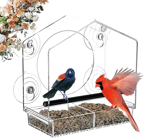 Comedero para pájaros de ventana transparente con ventosas fuertes para ver, ventana de acrílico para gatos con bandeja de semillas extraíble, fácil