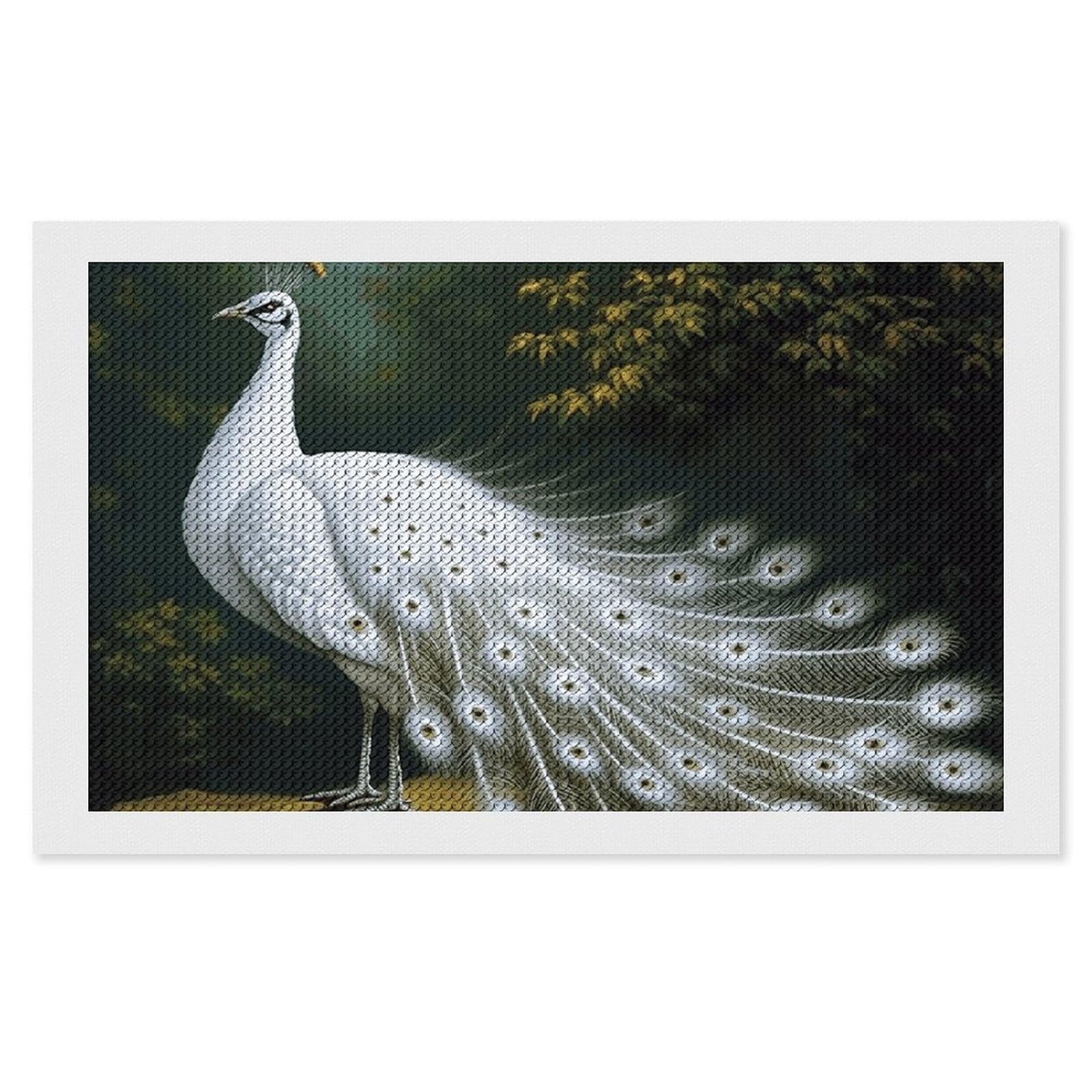 NONHAI Diamond Painting Kits for Adults - DIY Diamond Art Kits for Beginners - Full 5D Paint Drill Diamond Dots Paintings- White Peacock Diamonds Pictures Gem Art and Craft Wall Decor 12"x20"