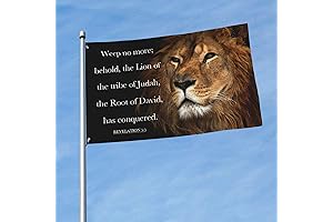 Lion Tribe Of Judah 3x5 Ft Flag