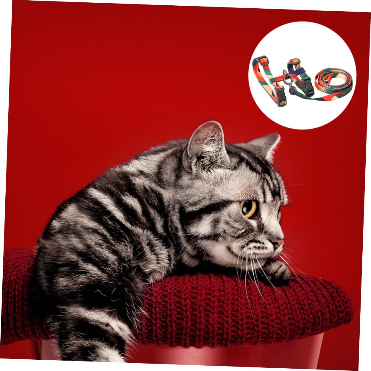 3pezzi Pettorina e Guinzaglio Per Gatti Shaped Materiale Traspirante Sicura e Confortevole Per Passeggiate All Aperto Colori Variabili