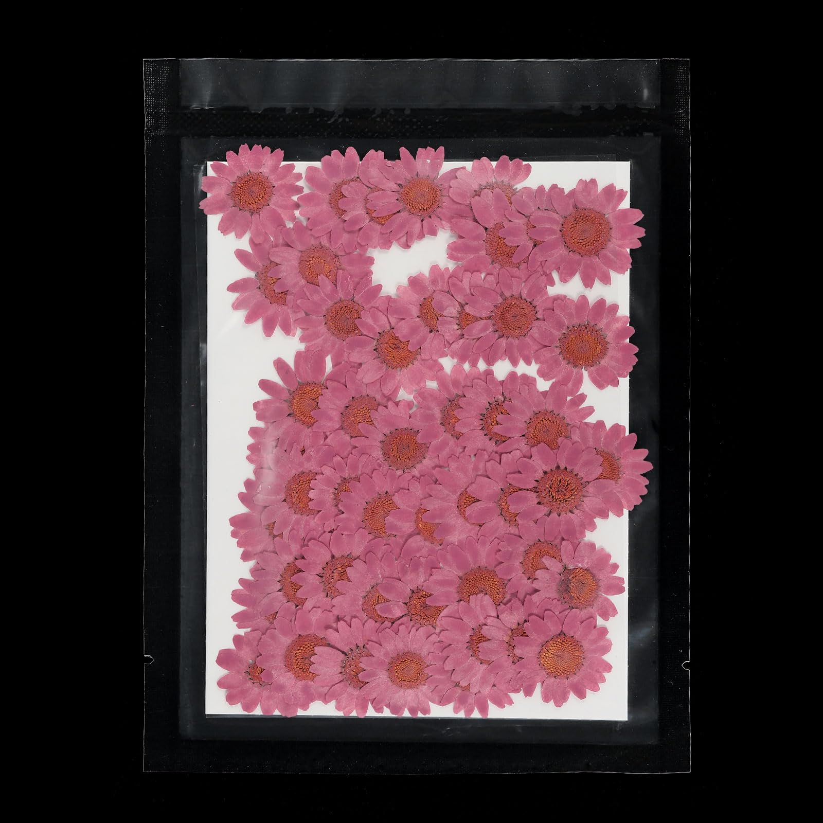 PATIKIL 48 Pcs Dried Pressed Flower Natural Dried Daisy Flower for DIY Art Crafts House Decoration Nails Decoration,Cherry Blossom Pink - Image 4