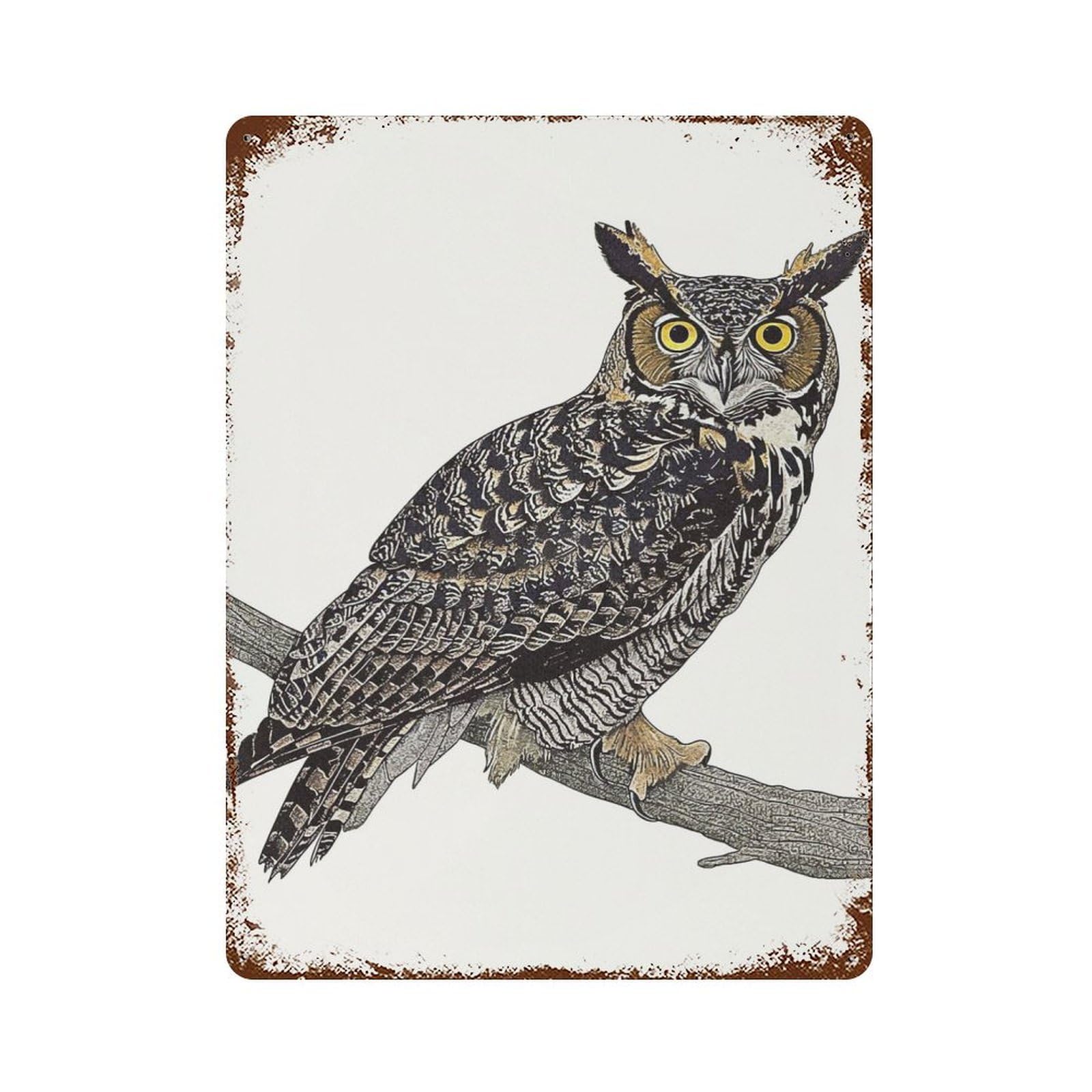Vintage Rust Metal Sign Owl Portrait 15.7"x11.8", Shabby Chic Decor for Cafe, Home Bar And Lounge Decor