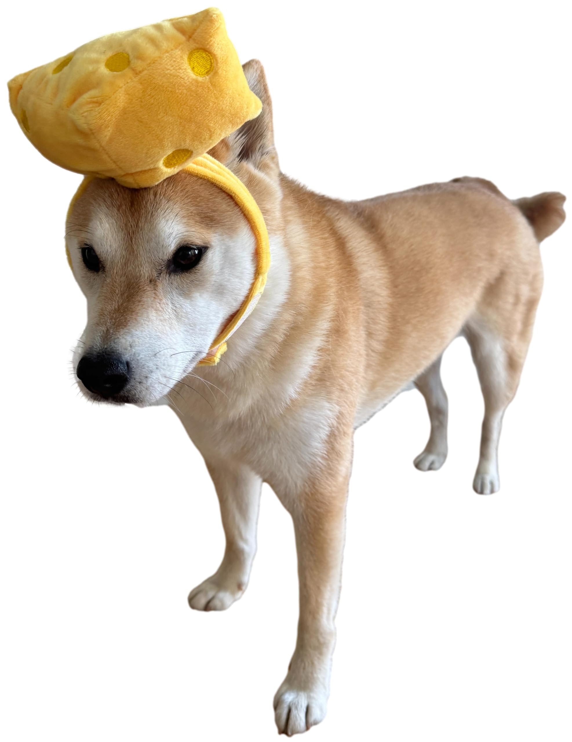 CheetahBoo Disfraz de queso amarillo para perros franceses, talla XS XXL, sombrero de comida, disfraz de Halloween, talla S