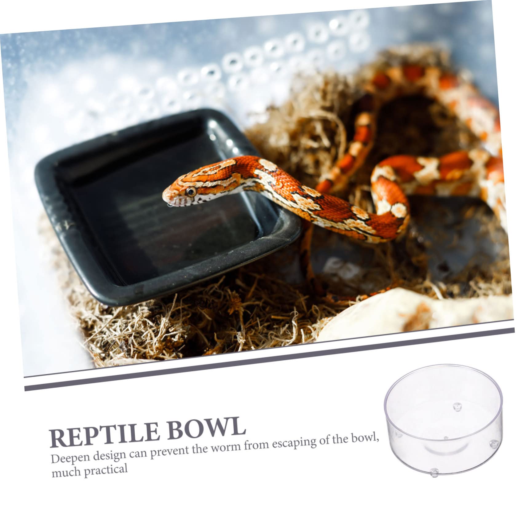 BESPORTBLE 150piezas Tazones Multifuncionales para Reptiles De Comida y Agua para Tortugas Geckos Serpientes y Accesorios para Terrarios para Pequeñas