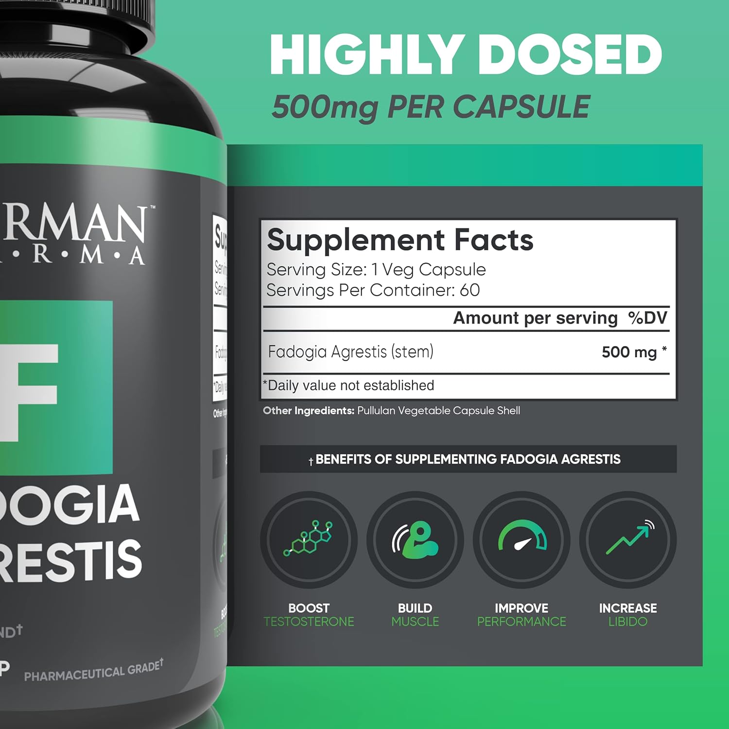 Fadogia Agrestis, Premium Natural Supplement for Muscle Building & Recovery, 60 Vegetarian Capsules - Made in the UK - Image 4