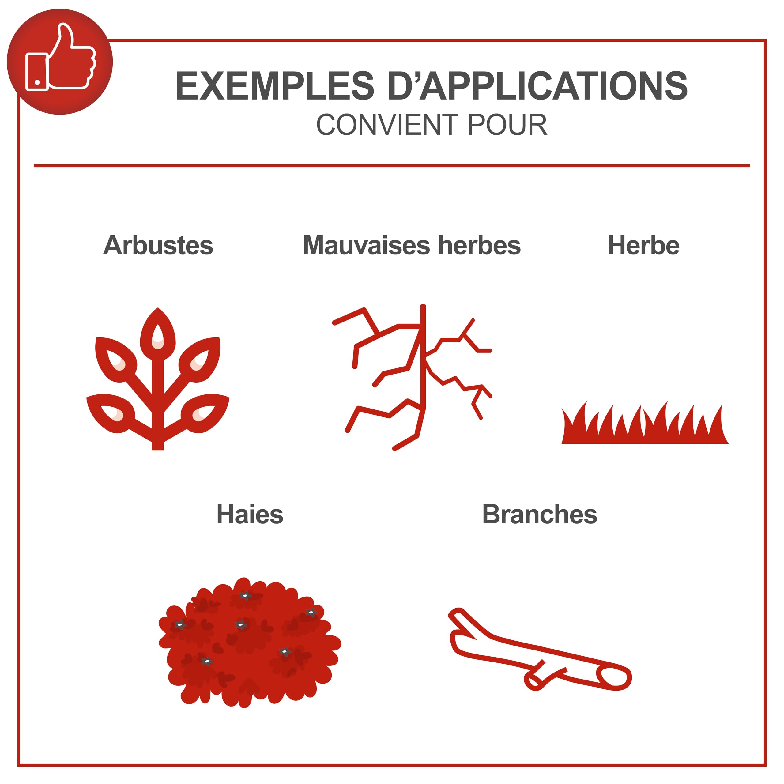Scheppach Débroussailleuse Thermique MFH5200-4P | + 2 bobines