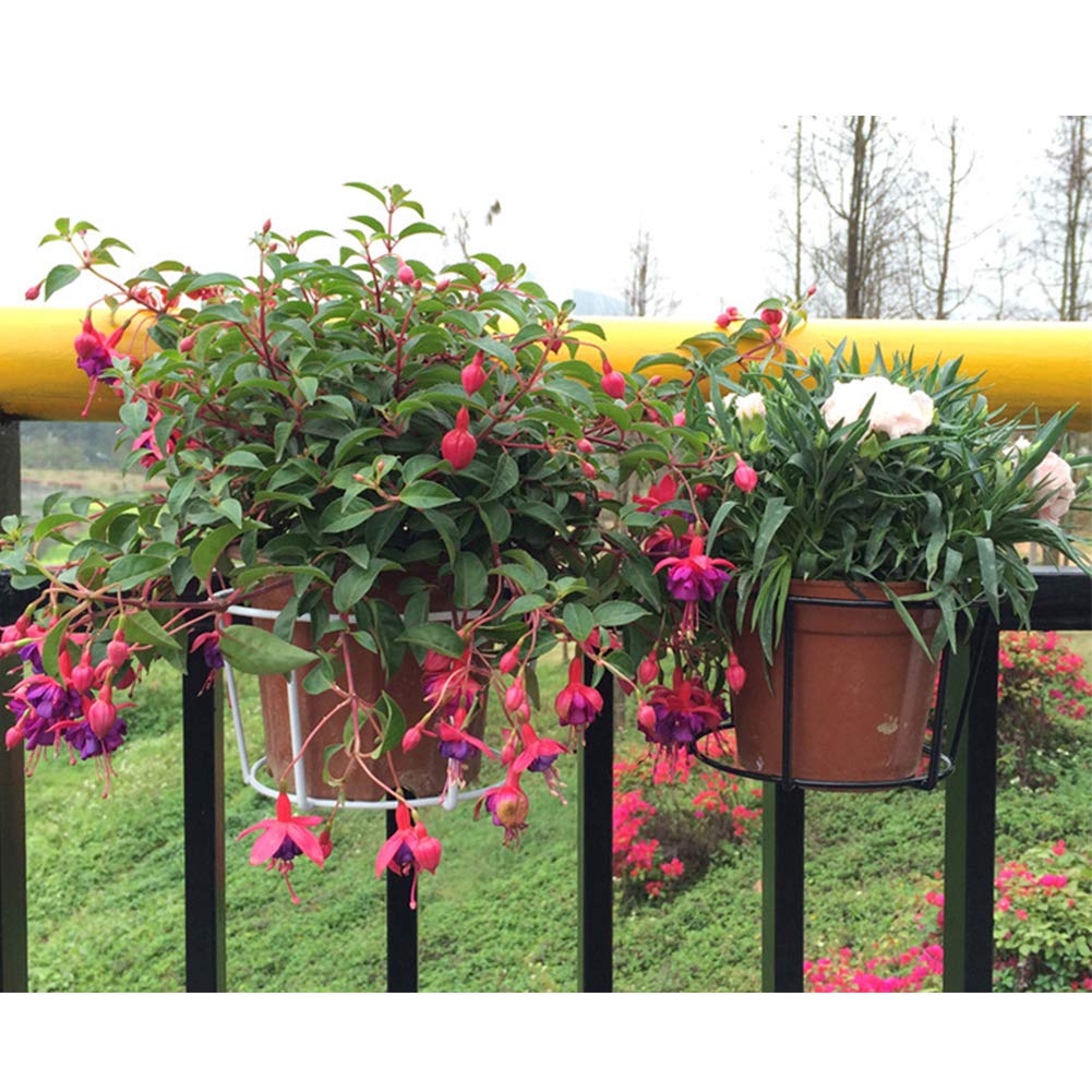 Vertical Hanging Planter Holder For Railing, Fence, Or Wall - Iron, Black/White