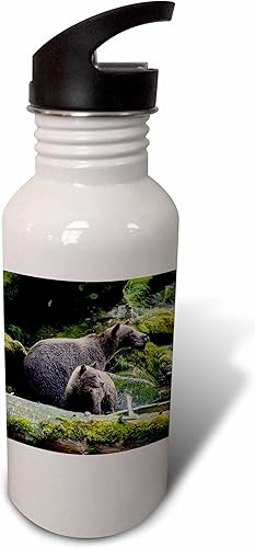 3dRose Brown bear cub staying close to mom at Anan Creek. - Water Bottles (wb-380601-2)