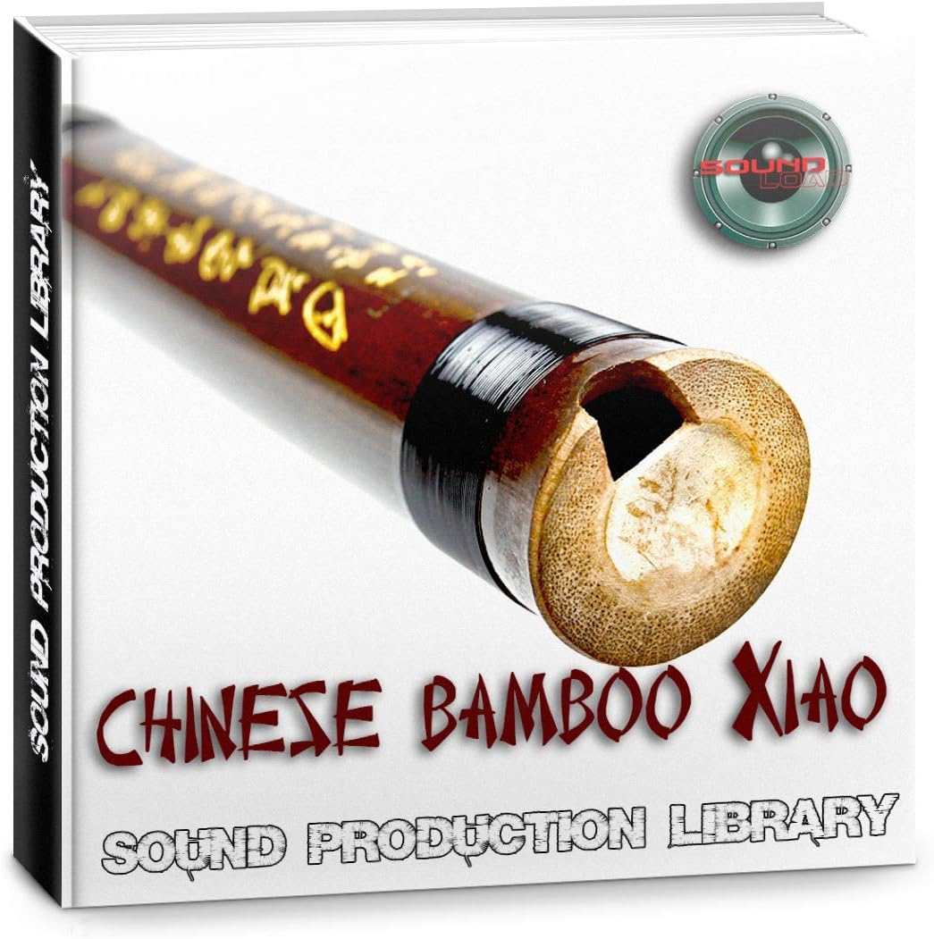 Xiao Chinese Bamboo Flute Large unique original WAVE