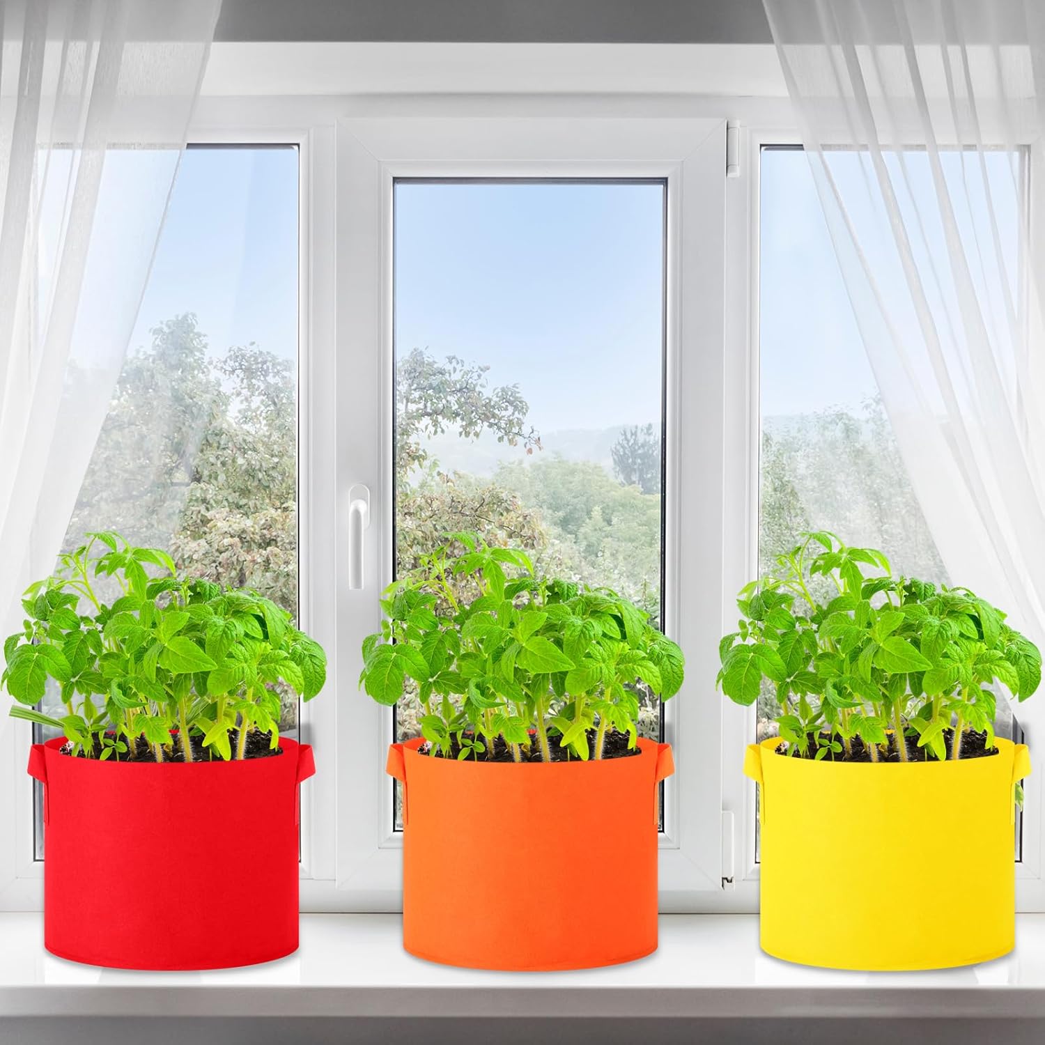 24 Pcs Multicolor Plant Grow Bags Large Grow Bags Fabric Planter Thickened Non Woven Fabric Pots with Handles for Indoor Outdoor Garden Planting Seeds Flower, 6 Colors (10 Gallon)