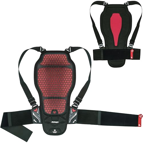 CE Level 2 Certified Motorcycle Back Protector, Lightweight Spine Armor Pad with Adjustable Straps Protective Gear for Motorcycle Riding Jackets, Motocross, Snowboarding, Skateboarding