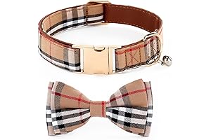 Adorable Dog Collar with Bow Tie for Stylish Canines
