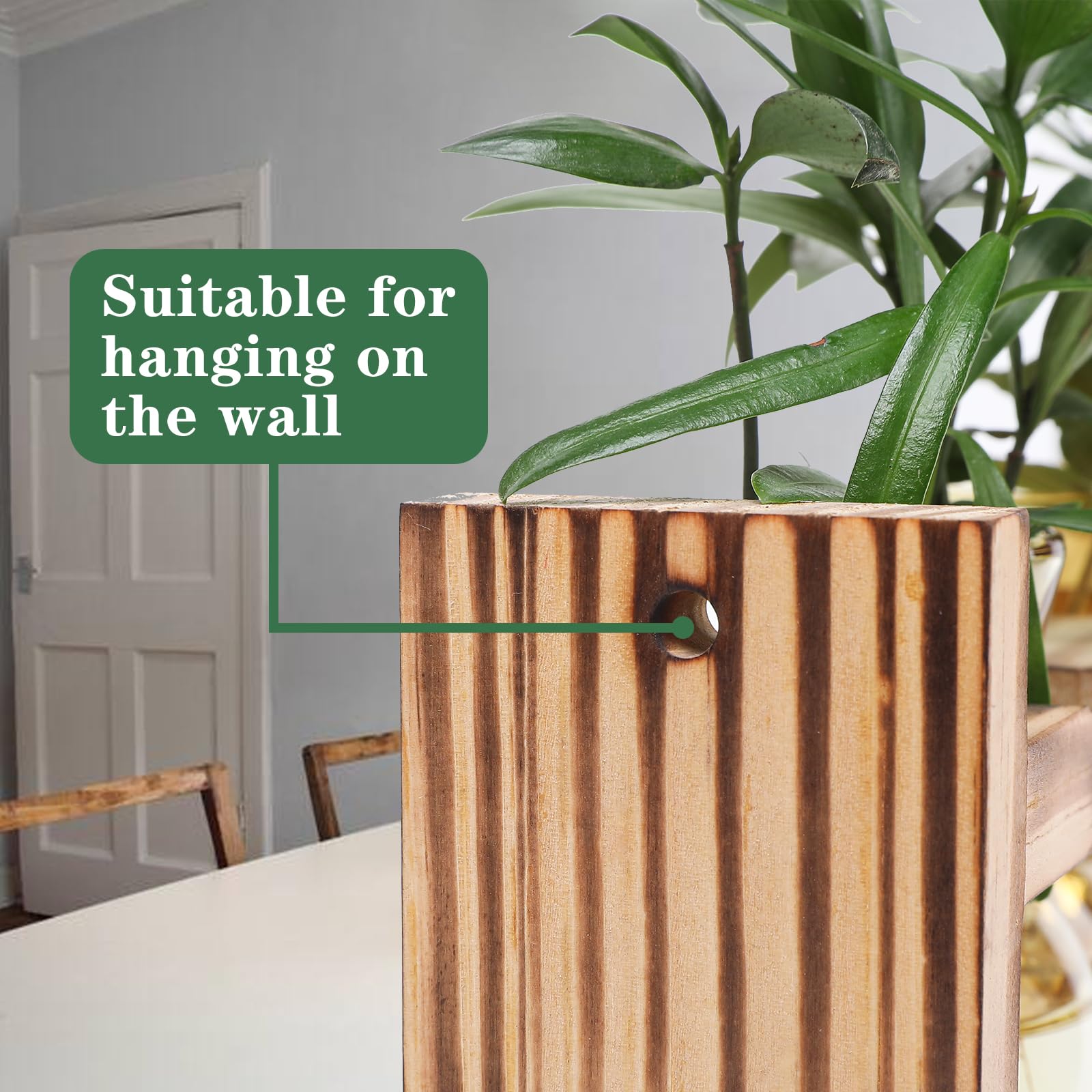 Pflanzenanzuchtstation Mit Holzständer - 5 Glasvasen Für Hydrokultur | Deko Für Home & Büro