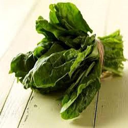 Espinacas, semillas de espinaca Bloomsdale de larga duración, reliquia, sin OMG, 100 semillas,
