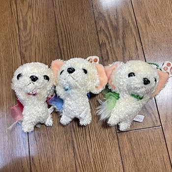 チワワのくーちゃん　ぬいぐるみ2個セット チワワのくーちゃん ぬいぐるみ2個セット