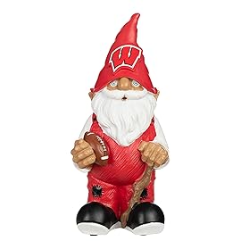 FOCO Wisconsin 2008 Team Gnome