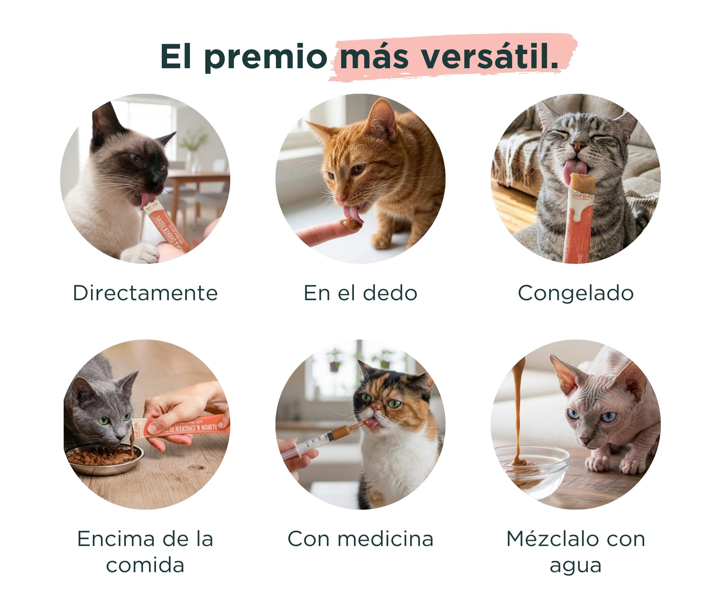 Wolf Belly - Snacks Gatos de Salmón y Pollo (40 uds x 15g) Textura Cremosa | Chuches Saludables y Deliciosas | Altos en Proteínas y Omega 3 | Sin Cereales ni Colorantes Artificiales - Hecho en España