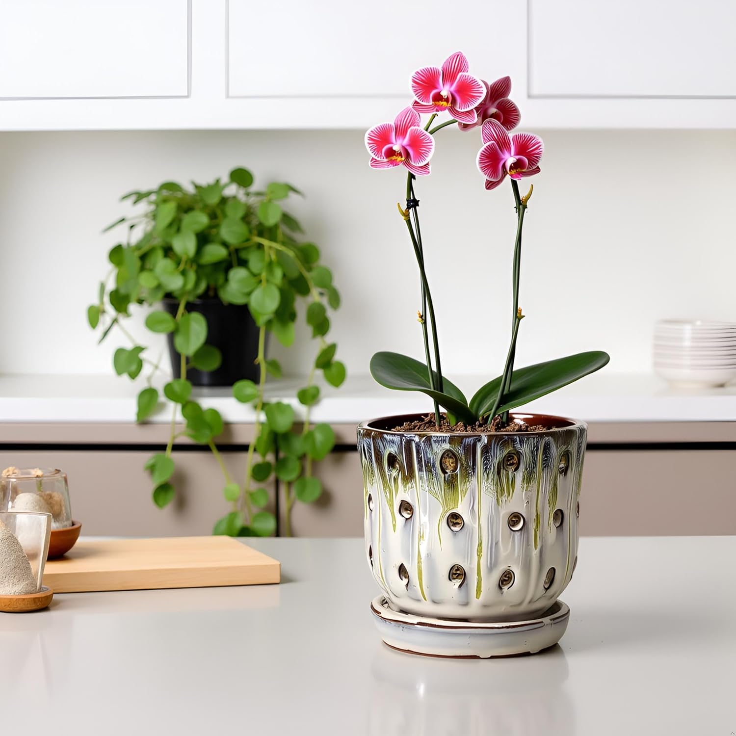 Orchid Pots 4.9 inch Round Ceramic Orchid Pots with Holes Set of 2 (SkyBlue+White with Lemon Green)