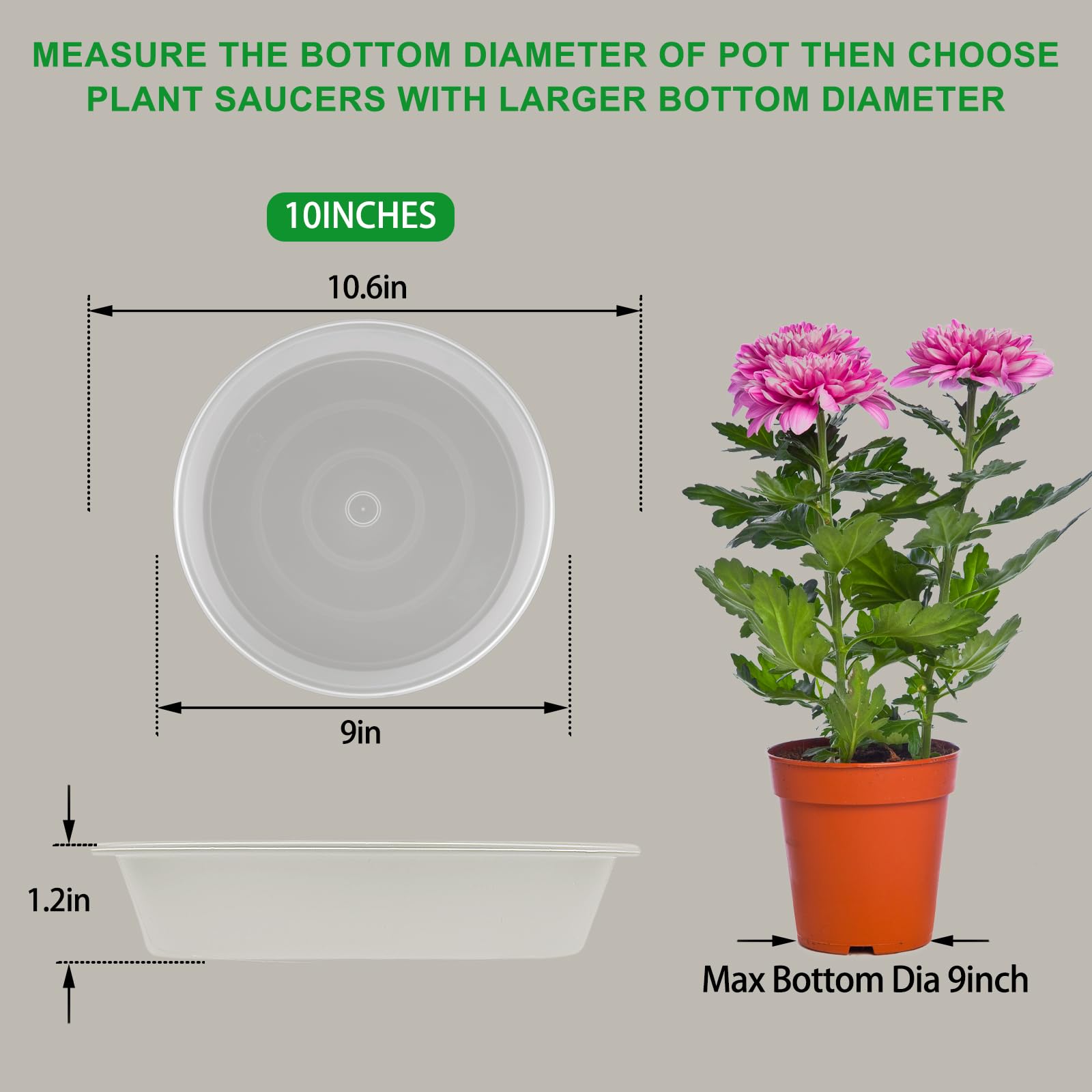 TITE Plant Saucer Heavy Large Planter Durable Thicker Plastic Plant Trays for Indoors and Outdoor,Plant Saucer Drip Trays (Transparent - Image 2