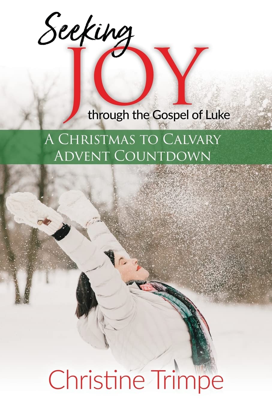 Seeking Joy through the Gospel of Luke: A Christmas to Calvary Advent Countdown