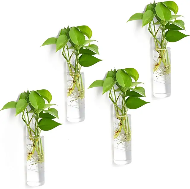Vumdua 4-Piece Glass Wall Hanging Planters - Terrarium for Hydroponic Plants