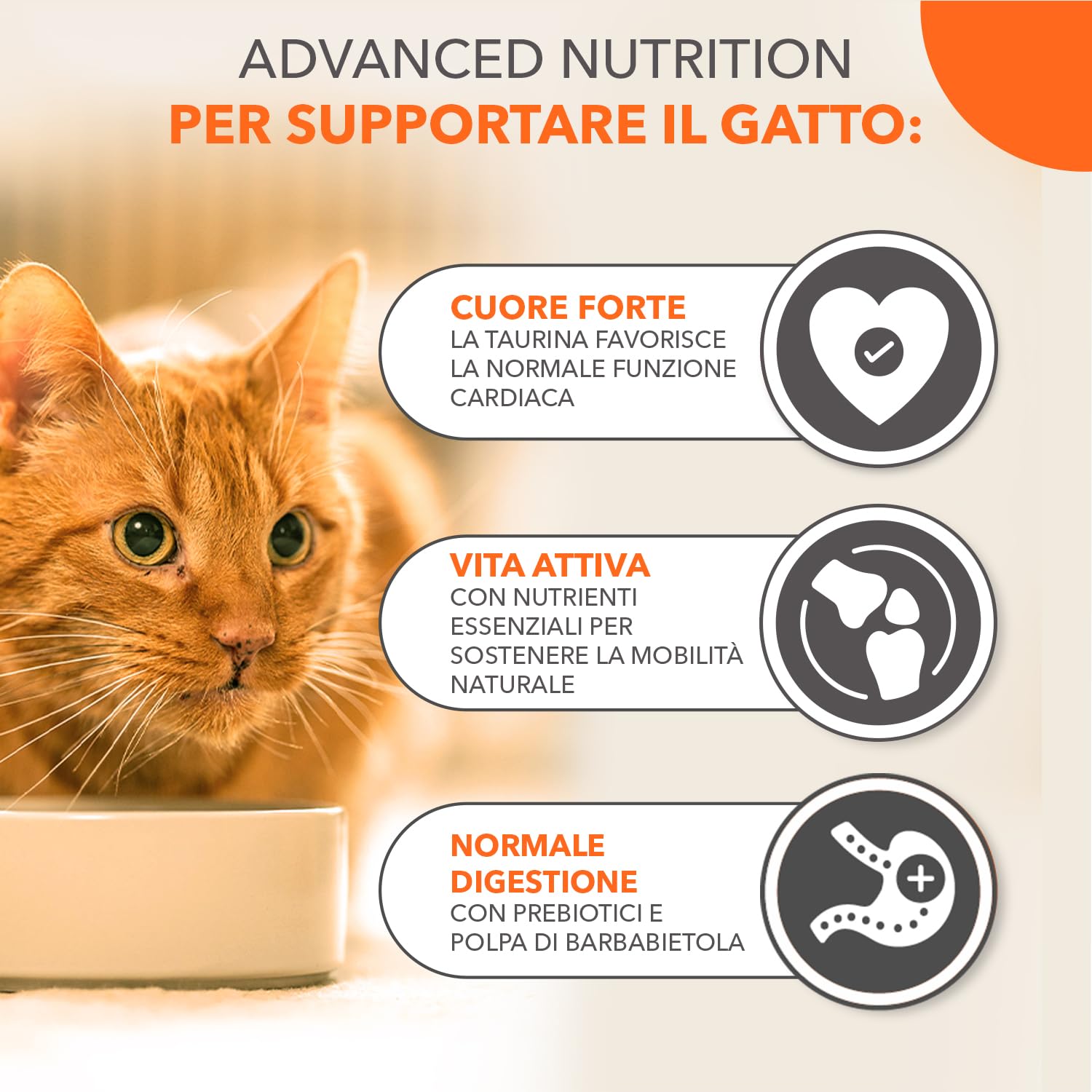 IAMS Cibo secco per gatti con pollo - Alimenti secco per gatti anziani da 11 anni, 10 kg
