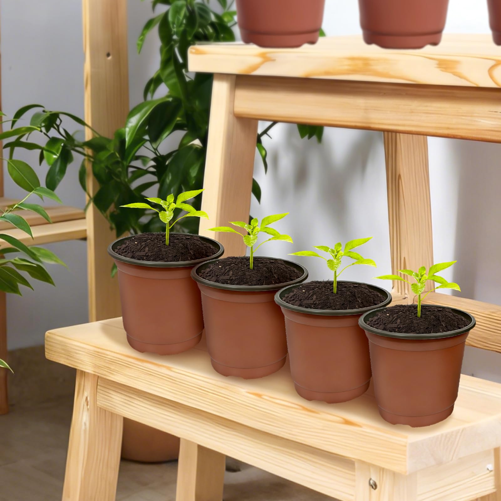 Bellanova 100 Pezzi Vasetti per Piantine 10 cm, Vasi Plastica per Piante con Fori di Drenaggio, per Semina, Talee e Trapianto, Riutilizzabili (100, 10cm)