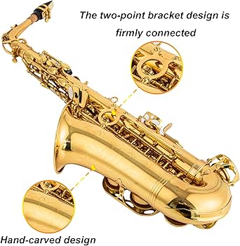Amazon.com: Cadway Alto Saxophone Eb beginner Saxophone includes