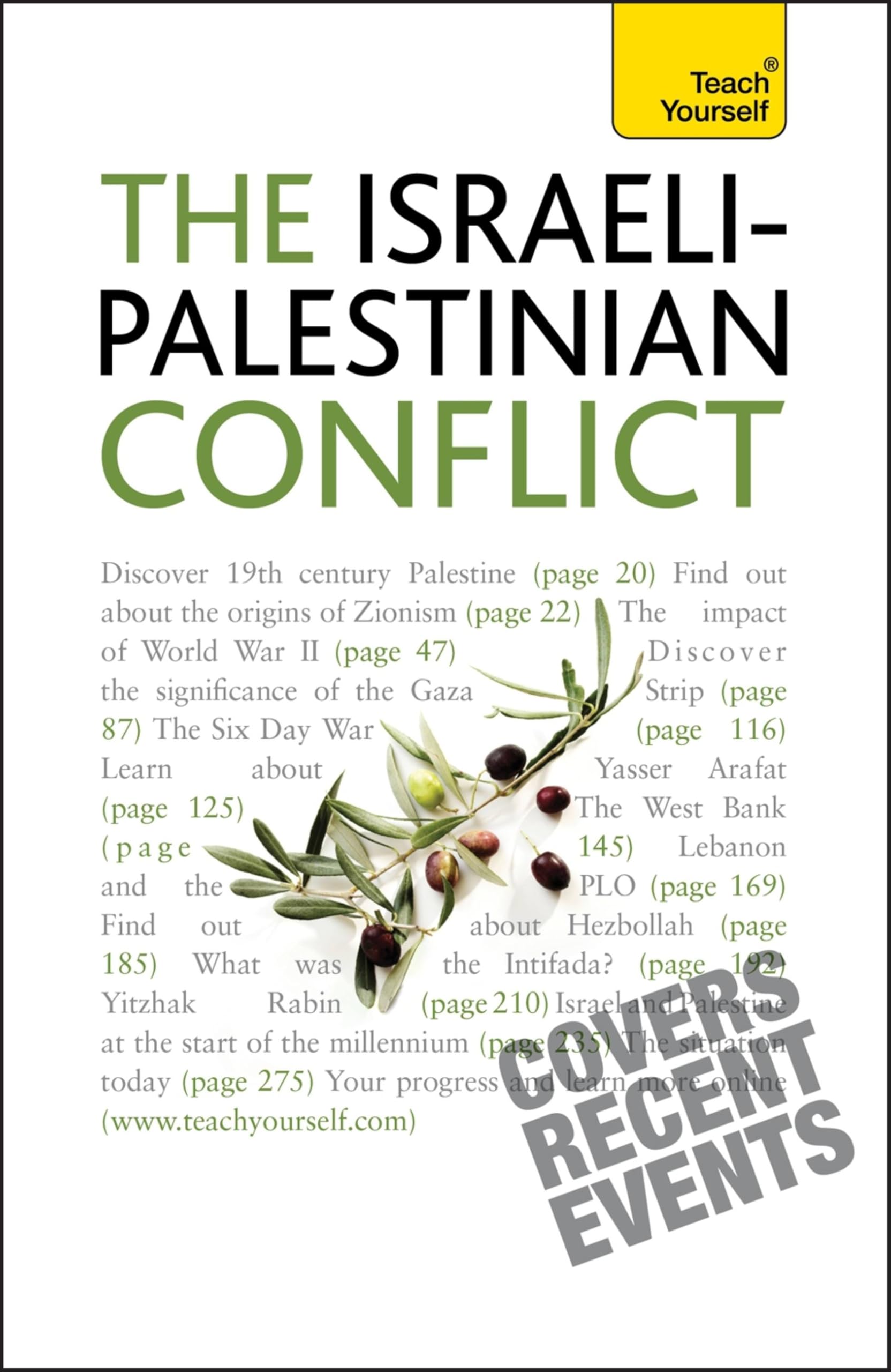 Understand the IsraeliPalestinian Conflict Teach  by Stewart Ross PAPERBACK