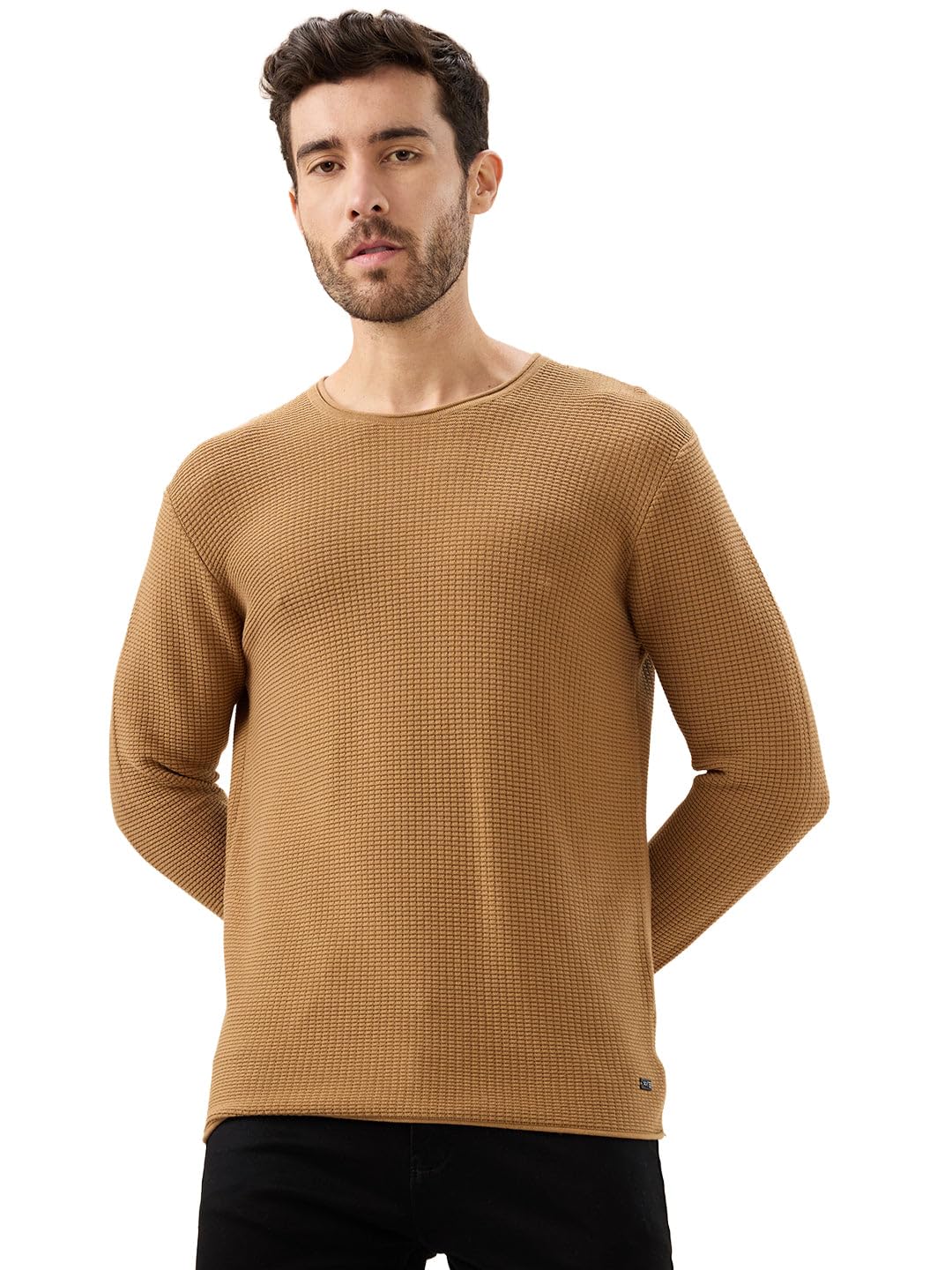 status quo Men's Basic Solid Textured Full Sleeves Round Neck Sweater-picture-37