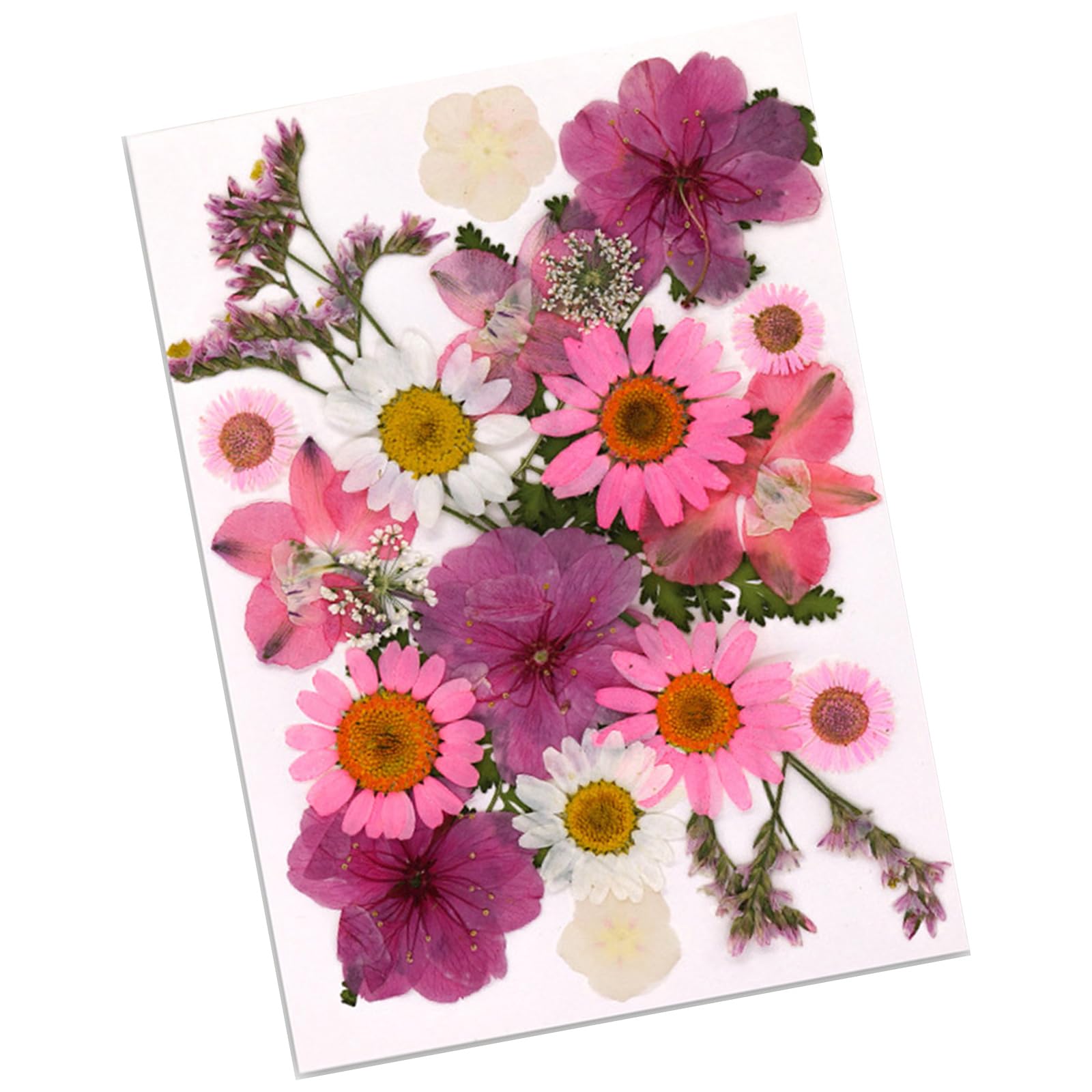 HZBB Pressed Dried Flower for Resin Molds Natural Pressed Dried Flower Leaves for Scrapbooking Soap Jewelry Making Series