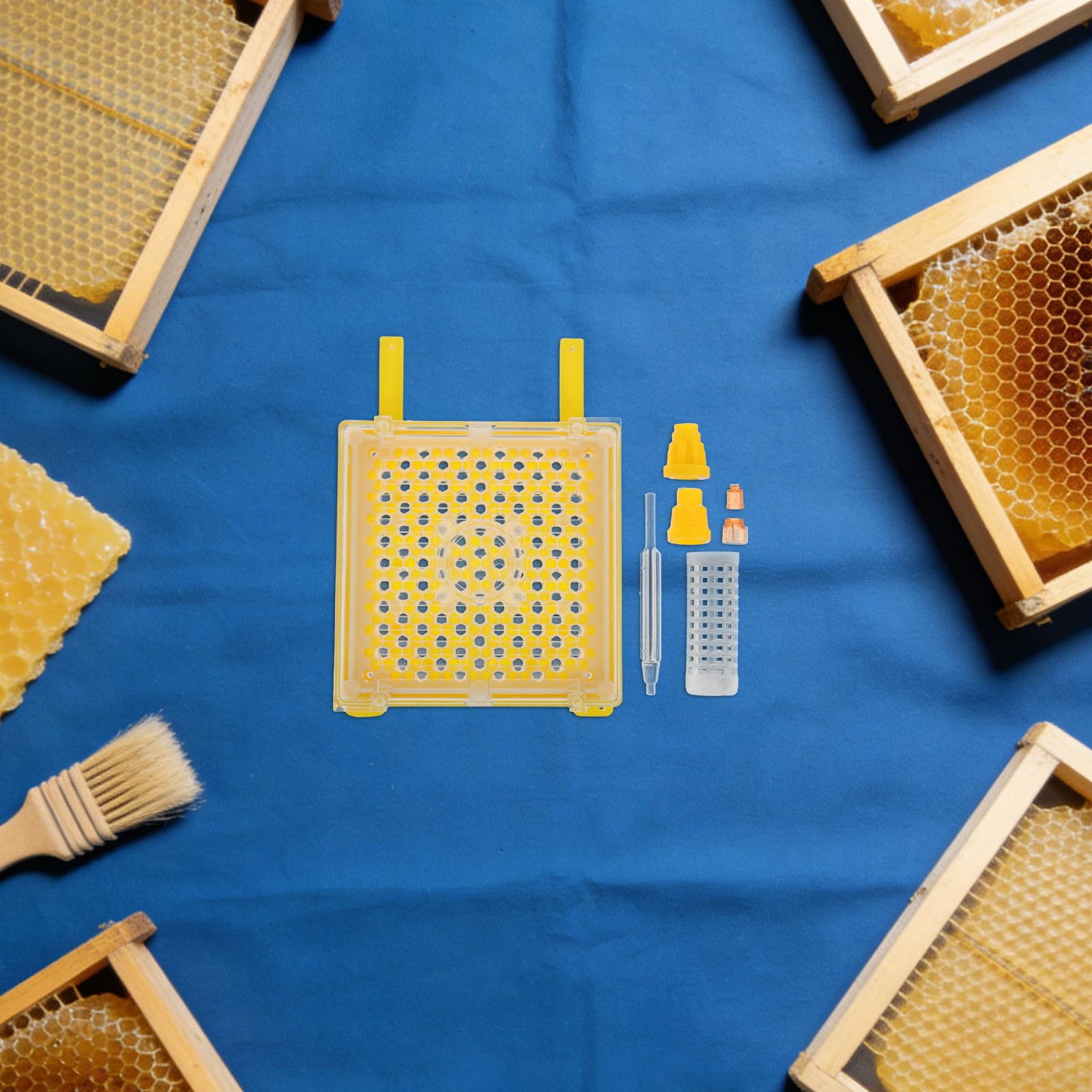 BESPORTBLE 1 Set di Attrezzature per L'allevamento Delle Regine: Kit per Arnia, Attrezzature per La Cura Delle Api, Strumento di Allevamento, Clip per Innesto, Forniture per L'allevamento Regine per