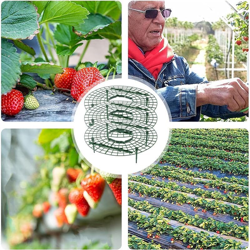 Supporti Per Fragole AONYIYI 10 Pezzi - Protettori Anti-Lumaca E Muffa Per Orto, Design Rotondo Stabile