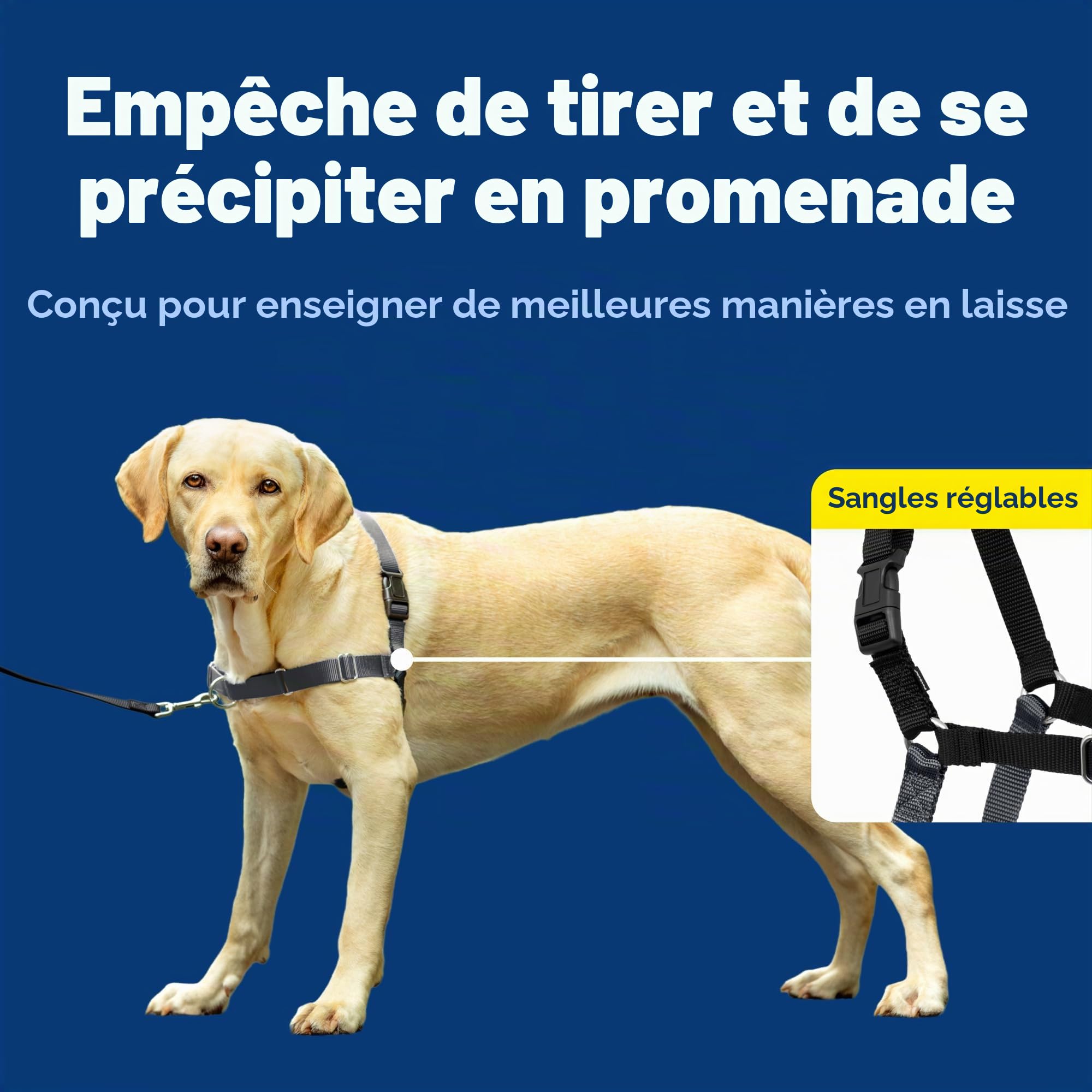 PetSafe Easy Walk Harnais anti-traction pour chien – Le harnais ultime pour aider à arrêter de tirer – Prenez le contrôle et enseignez de meilleures manières de la laisse – Aide à empêcher les animaux