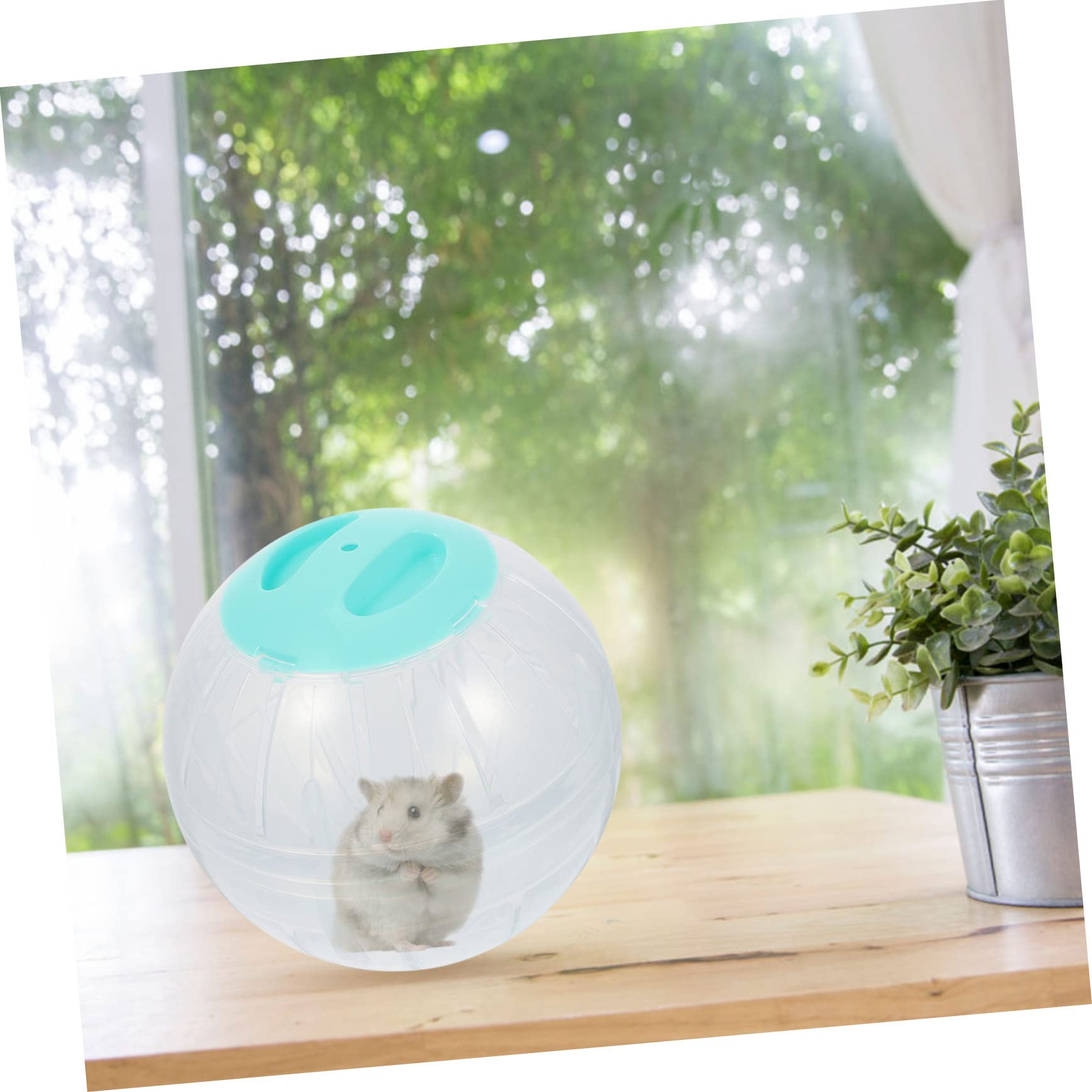 4stücke Hamster Laufball Für Kleine Tiere Transparente Übungsbälle Für Hamster Zwerghamster Mäuse Und Igel Von Bewegung Und Fitness Im Käfig